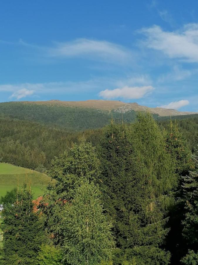 Ferienwohnung Familie Pichler Neumarkt in Steiermark Esterno foto
