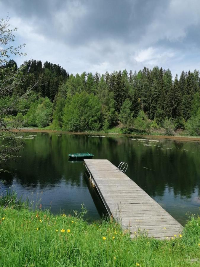 Ferienwohnung Familie Pichler Neumarkt in Steiermark Esterno foto