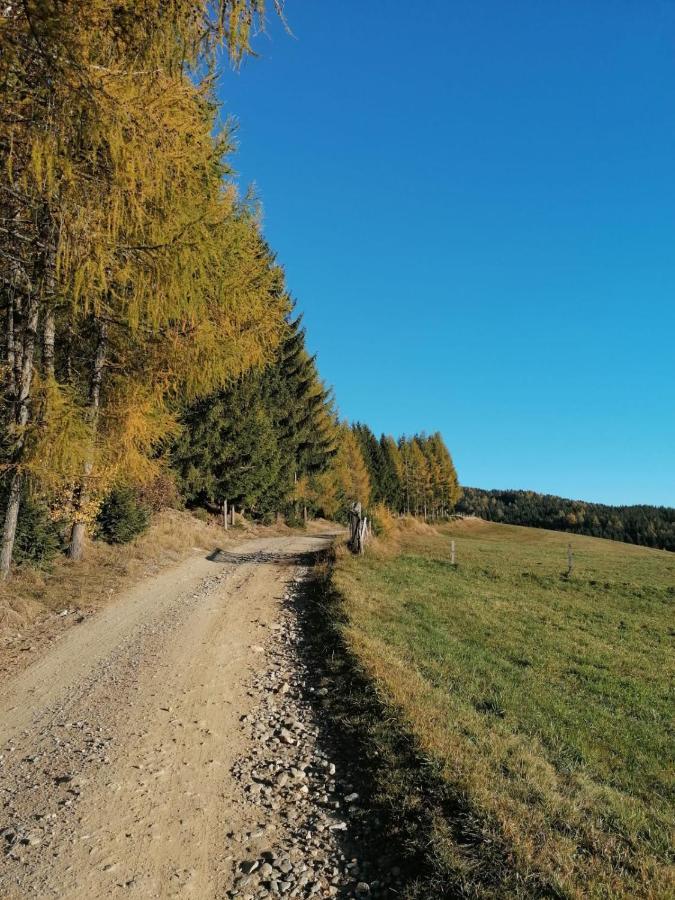 Ferienwohnung Familie Pichler Neumarkt in Steiermark Esterno foto